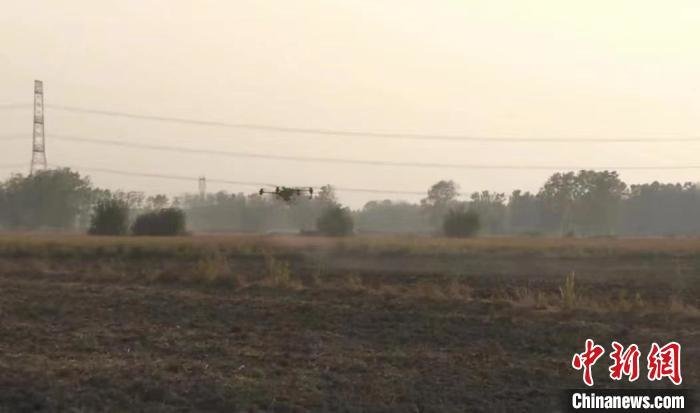 无人植保小飞机在作业中。 宿城区委宣传部供图