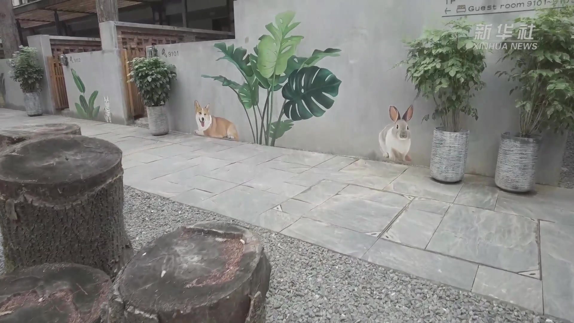 浙江龙游：在美丽乡村，遇见乡村未来