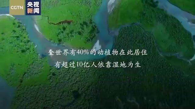 珍爱“地球之肾” 共同守护美丽家园