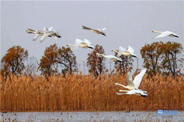 记者 周广学 摄