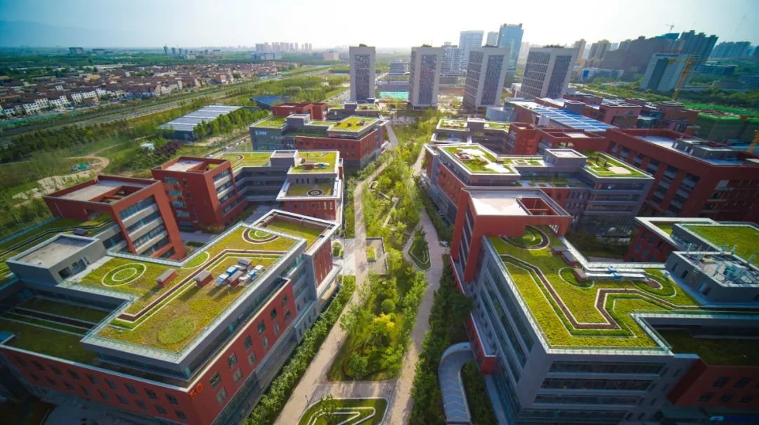 海绵城市-绿色屋顶