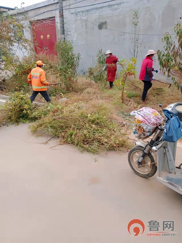 枣庄市市中区西王庄镇：推进农村人居环境持续向好