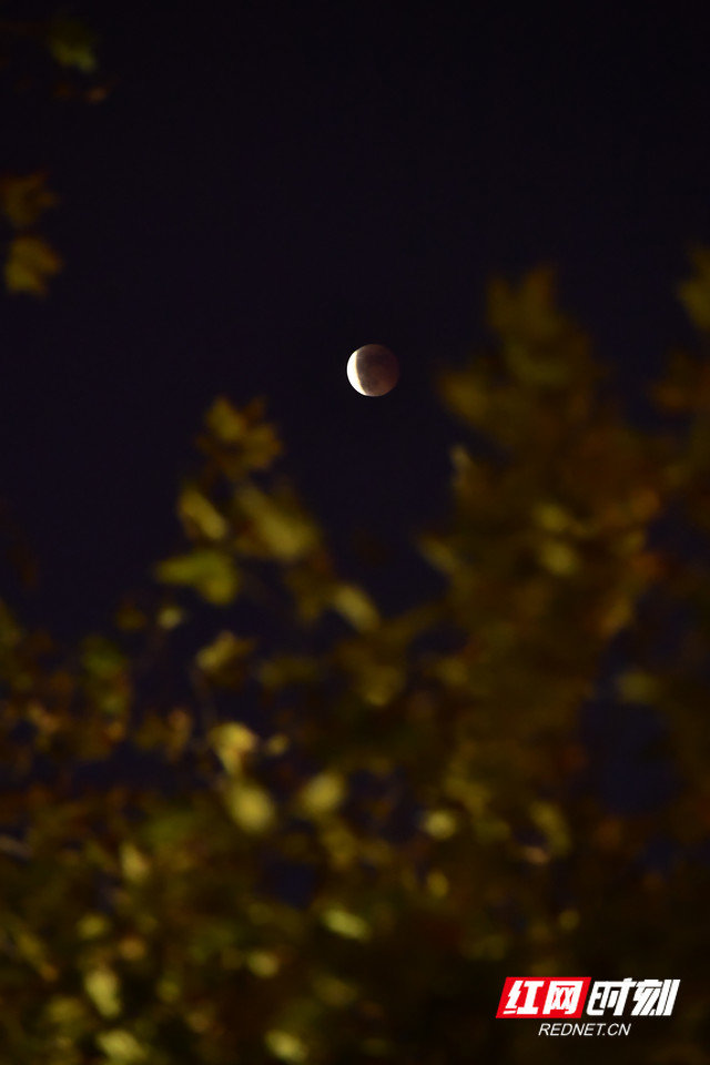 11月8日，长沙市区出现的月食。