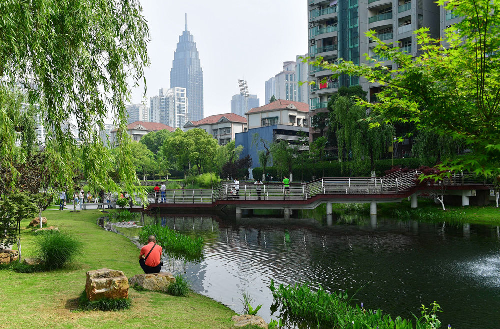 武汉西北湖公园——城市中心的小微湿地改造典范。新华网发 李永刚 摄