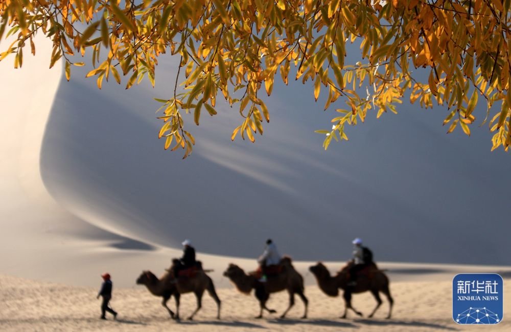 ↑11月6日，游客在甘肃省敦煌市鸣沙山月牙泉景区游览。新华社发（张晓亮 摄）
