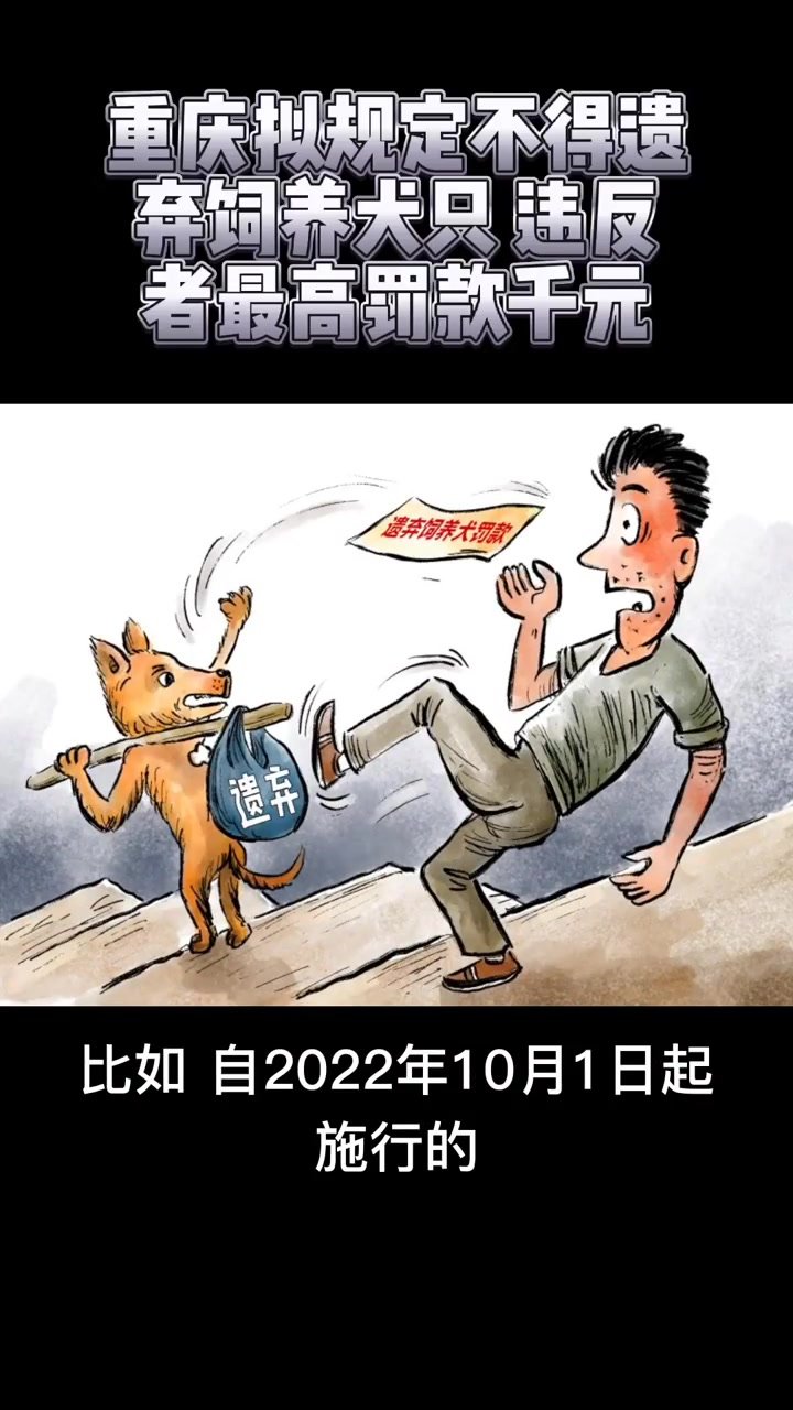 画说热点｜重庆拟规定不得遗弃饲养犬只 违反者最高罚款千元