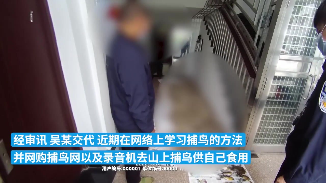 温州一男子非法捕获近千只鸟被抓获