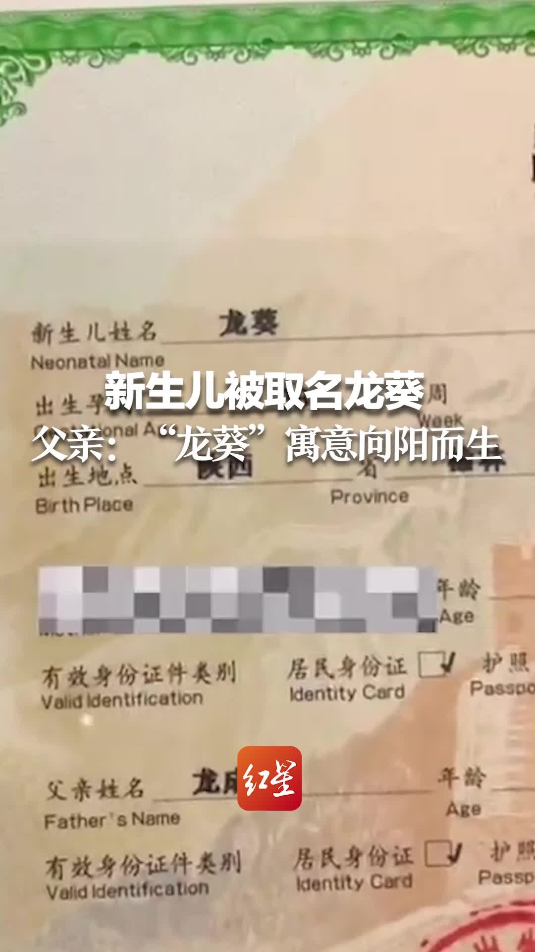 新生儿被取名龙葵 父亲：曾是仙剑迷，“龙葵”寓意向阳而生