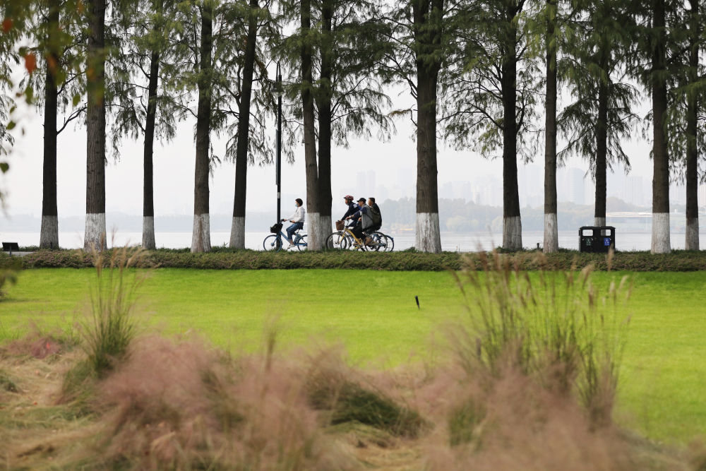 11月5日,市民在武汉东湖绿道骑行.新华社记者 姚琪琳 摄