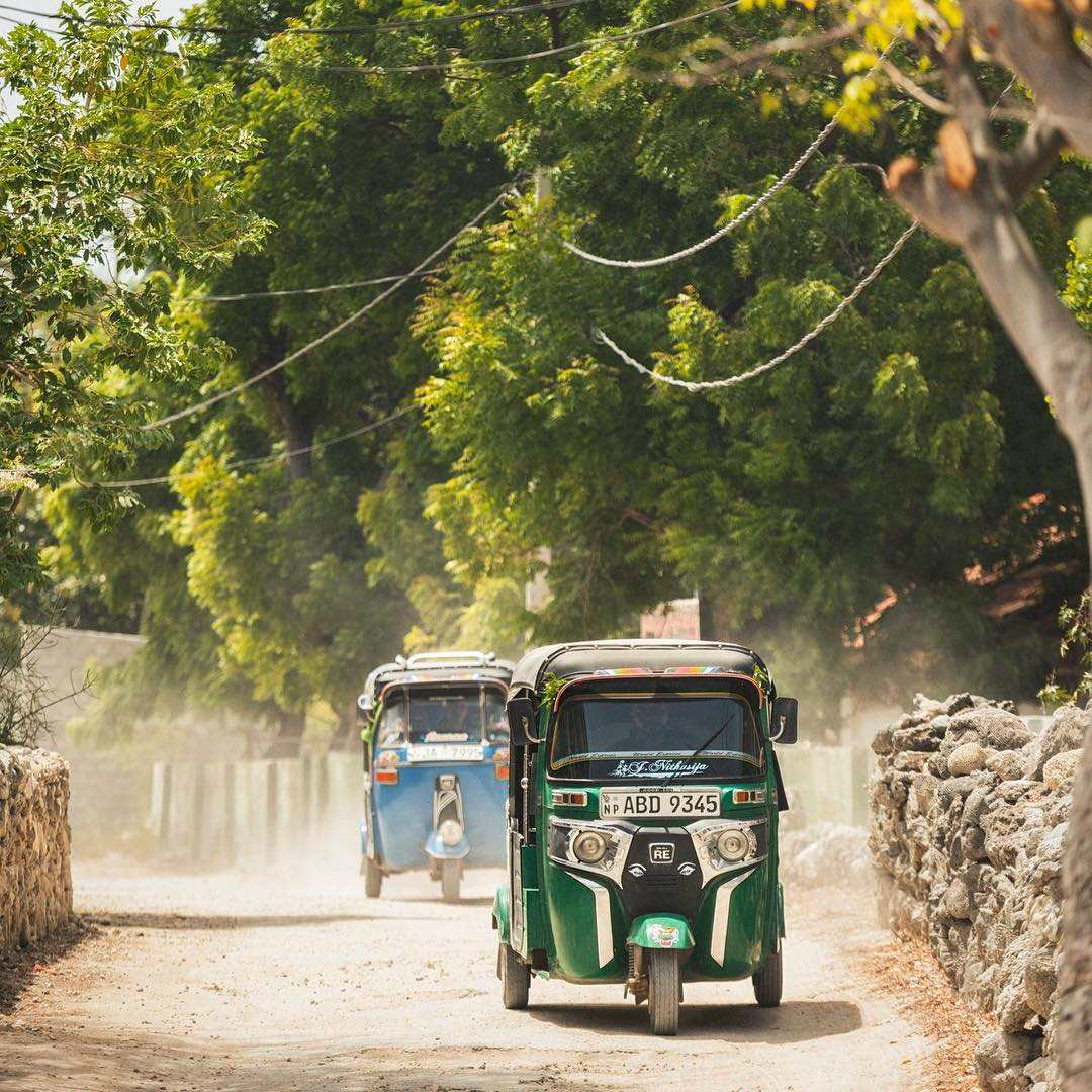 探索斯里兰卡的北部地区© Lonely Planet / jonstokes