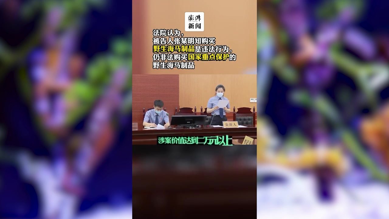 男子购买野生海马制品，被上海法院判处有期徒刑6个月罚2万