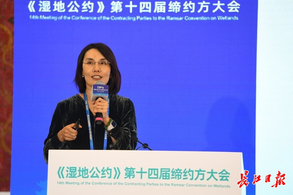 于倩作主旨演讲《鹤类迁徙路线上的协同保护 》。记者高勇 摄