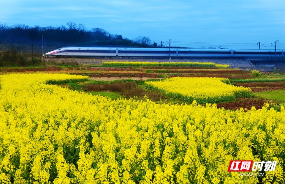 复兴号行驶在京广高铁衡阳东站附近.何坚强 摄