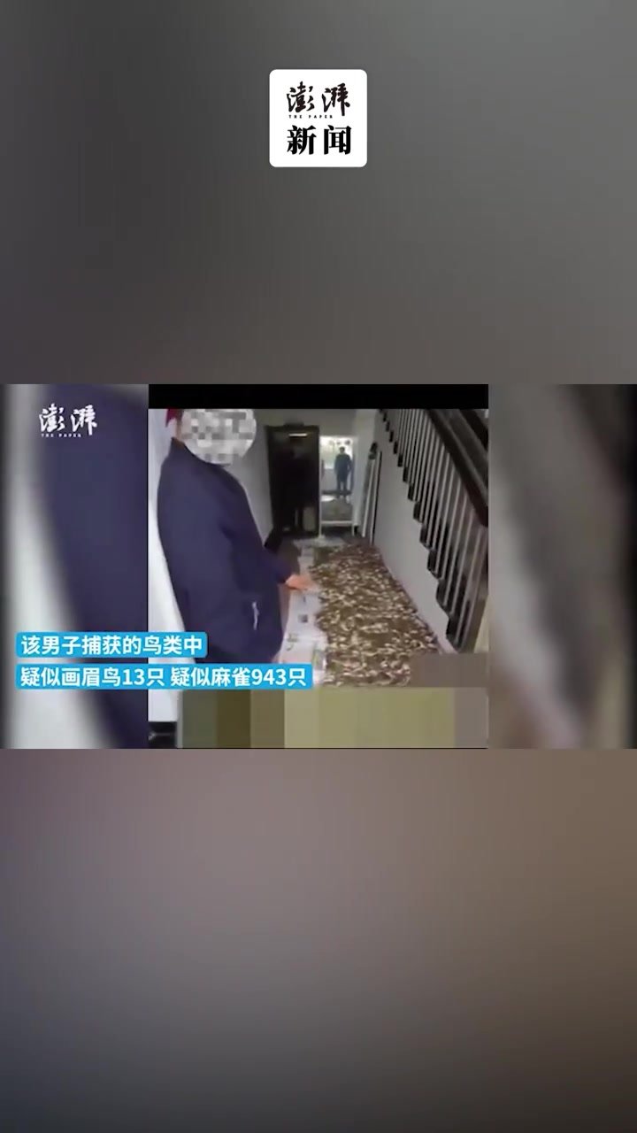 只为涮火锅？温州一男子因捕鸟近千只被抓