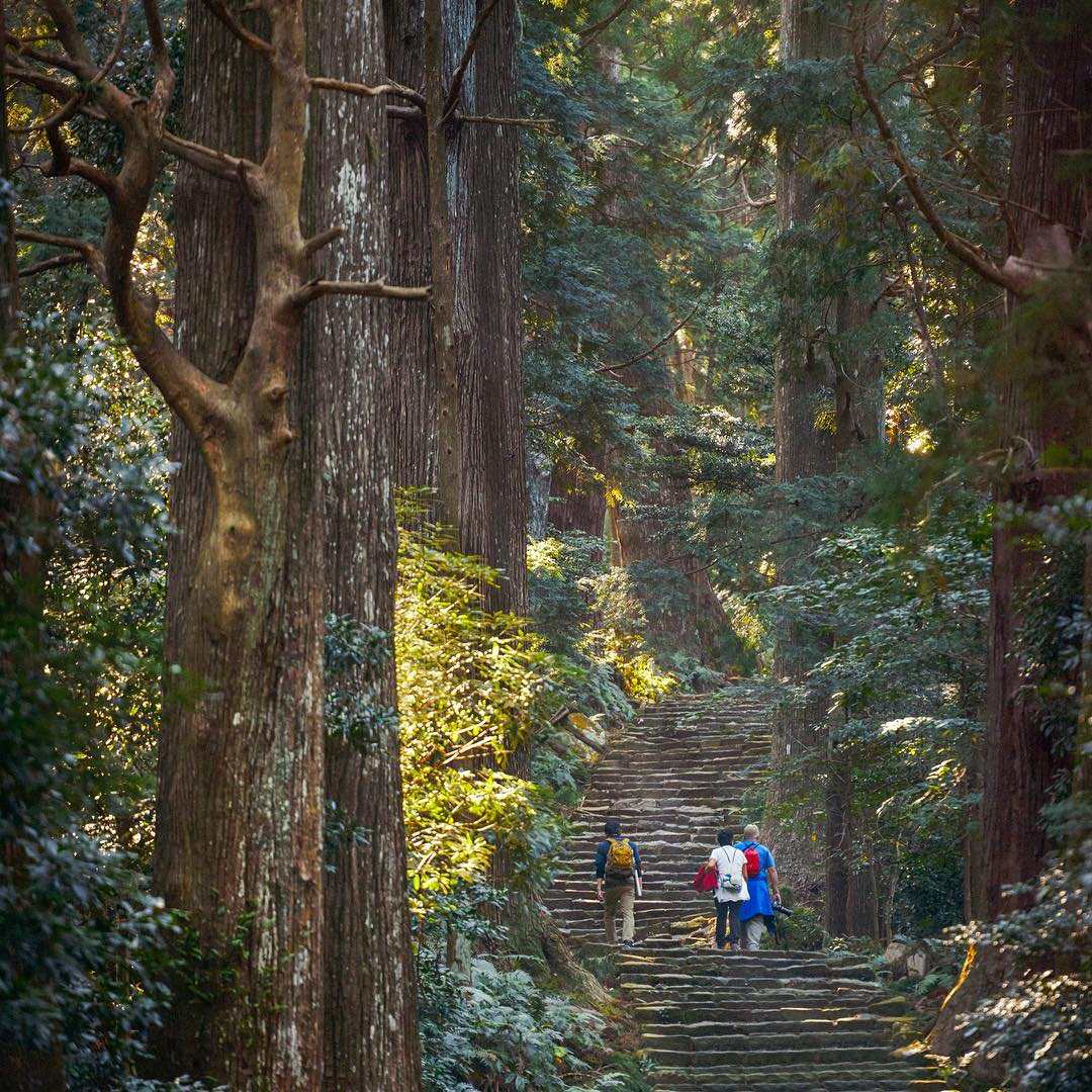 走在森林茂密的熊野古道朝圣路线上© Lonely Planet / jonstokes1
