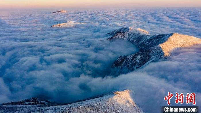 图为朱雀国家森林公园内“积雪浮云端”的盛景。　朱雀国家森林公园供图