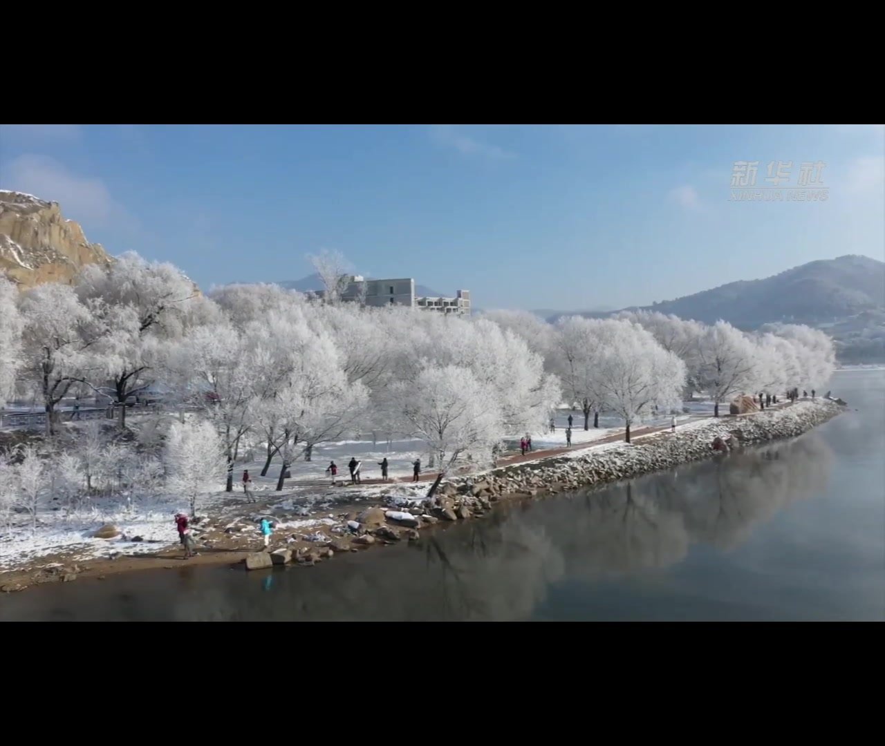 寒江雪柳 玉树琼花——吉林松花江畔迎来雾凇美景