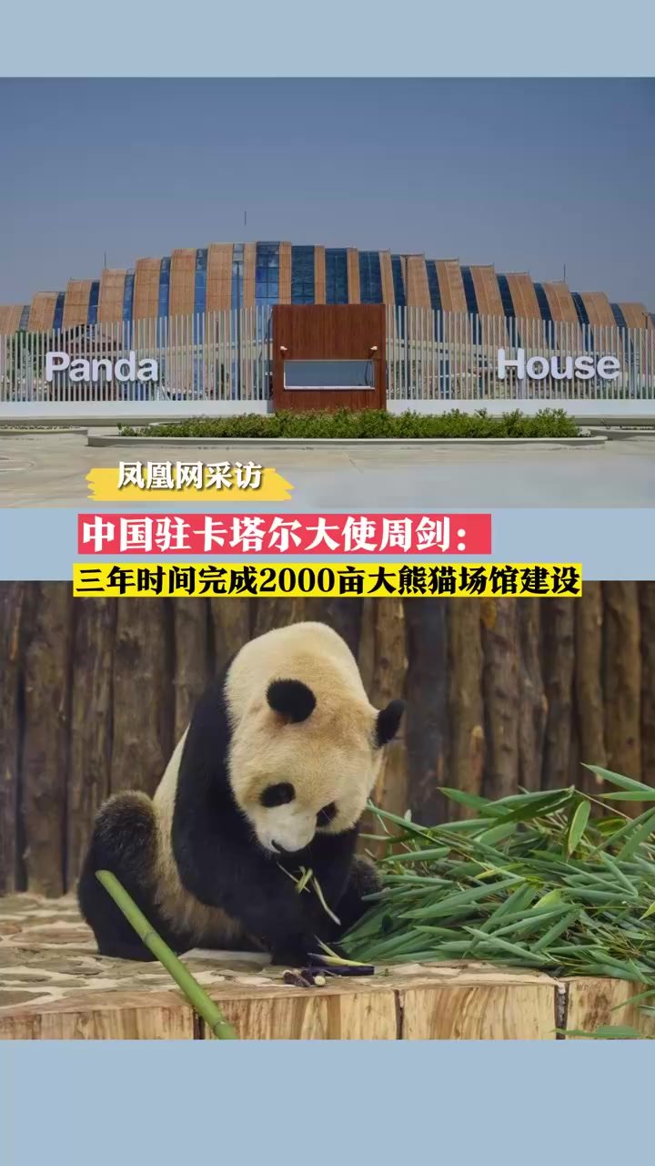 中国驻卡塔尔大使周剑：3年时间完成2000亩大熊猫场馆建设