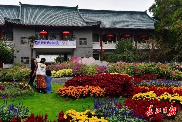 武汉植物园的大花坛依旧万紫千红美如春。