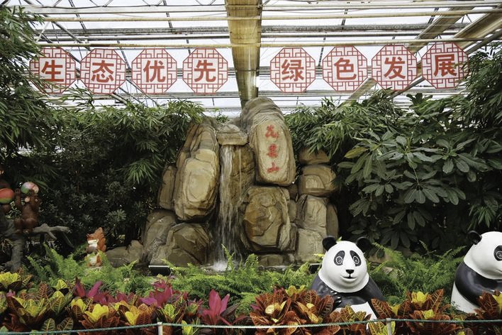 走进热带果树园，清幽、静谧的南方园林气息扑面而来。 张欣禹 摄