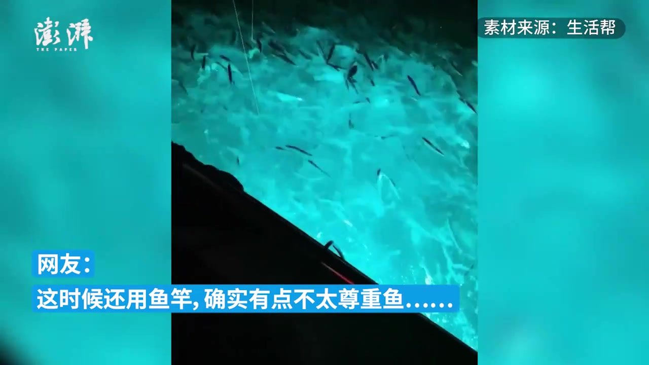 男子出海钓鲈鱼，灯光吸引来大量海鲫鱼