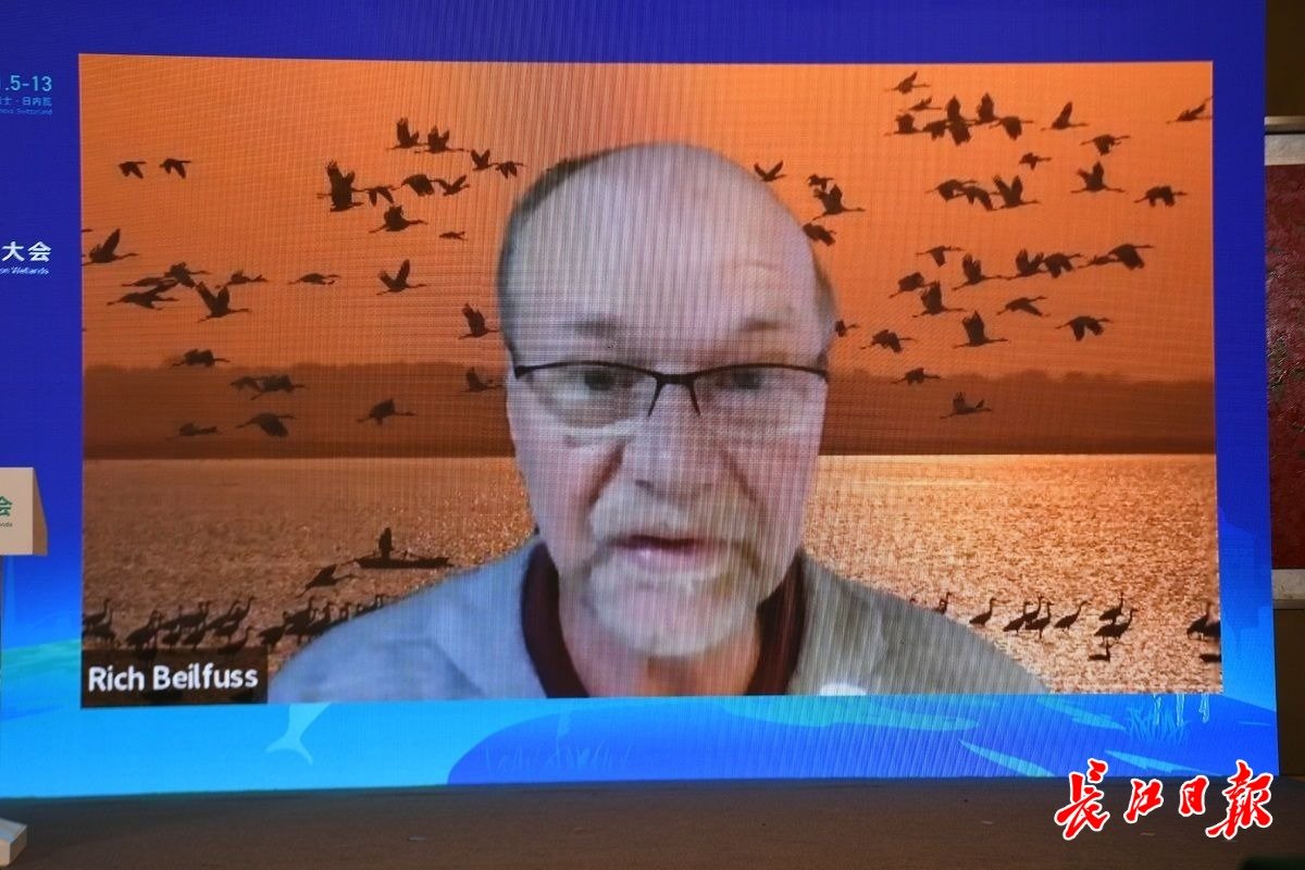 国际鹤类基金会总裁Rich Beilfuss致辞（视频 ）。记者高勇 摄