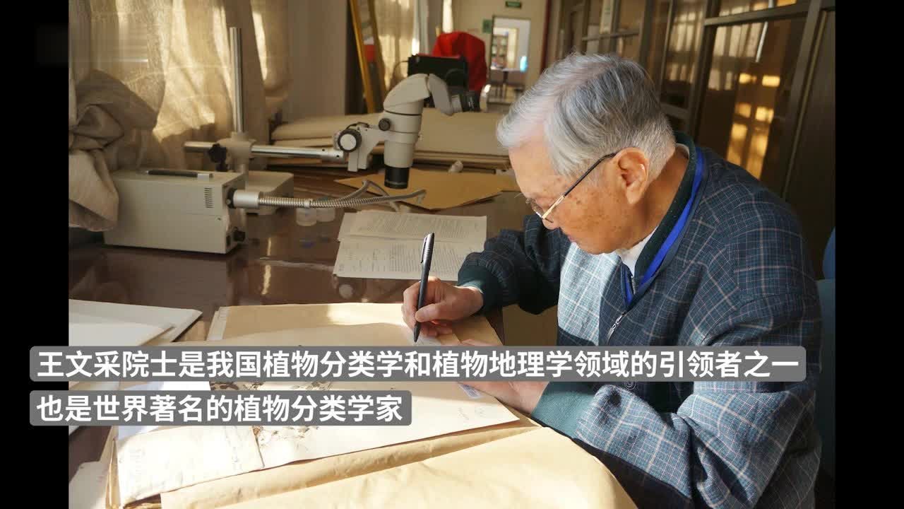 著名植物分类学家、中科院院士王文采逝世