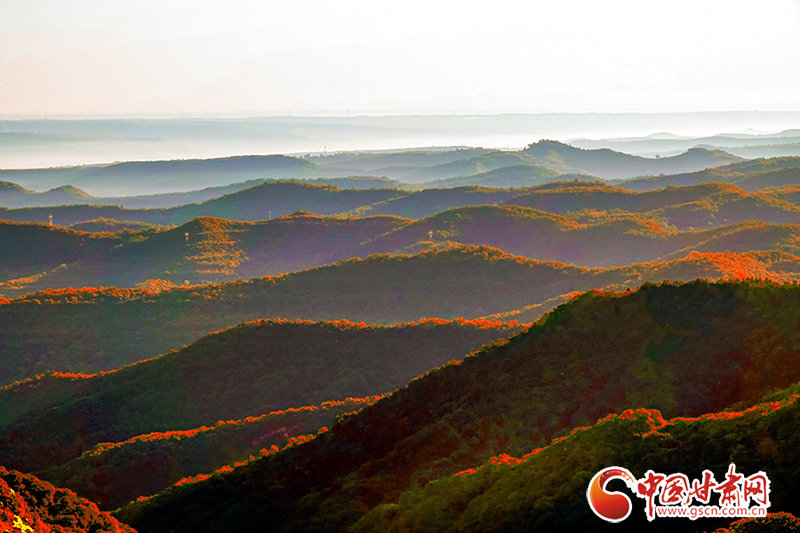 甘肃崇信：层林尽染好秋色 如梦如幻似仙境