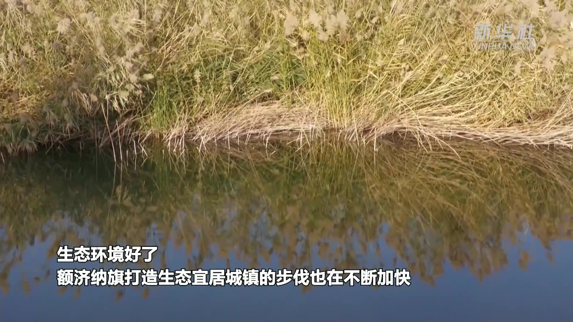 内蒙古额济纳旗：以“水”为笔绘生态宜居画卷