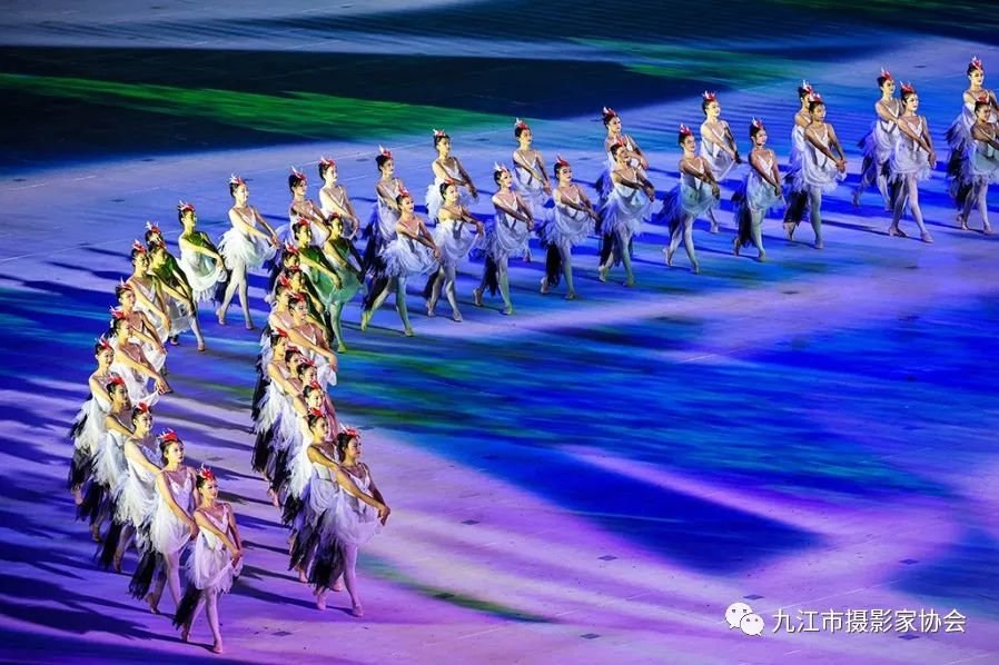 《鹤舞九天》 杨 鸥 摄
