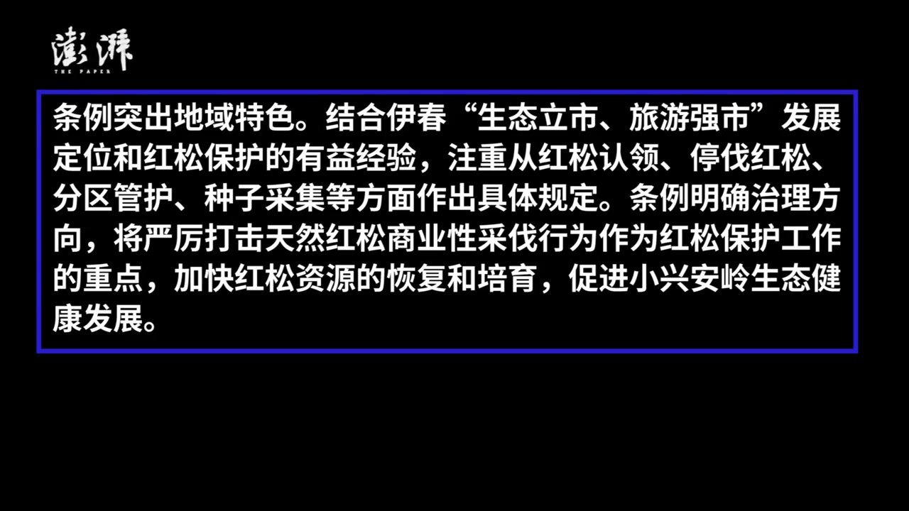 黑龙江省首部单一树种地方性法规《伊春市红松保护条例》诞生