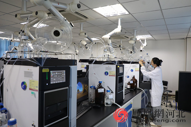 技术人员在河北安健成益医药科技有限公司实验室对药品进行检测