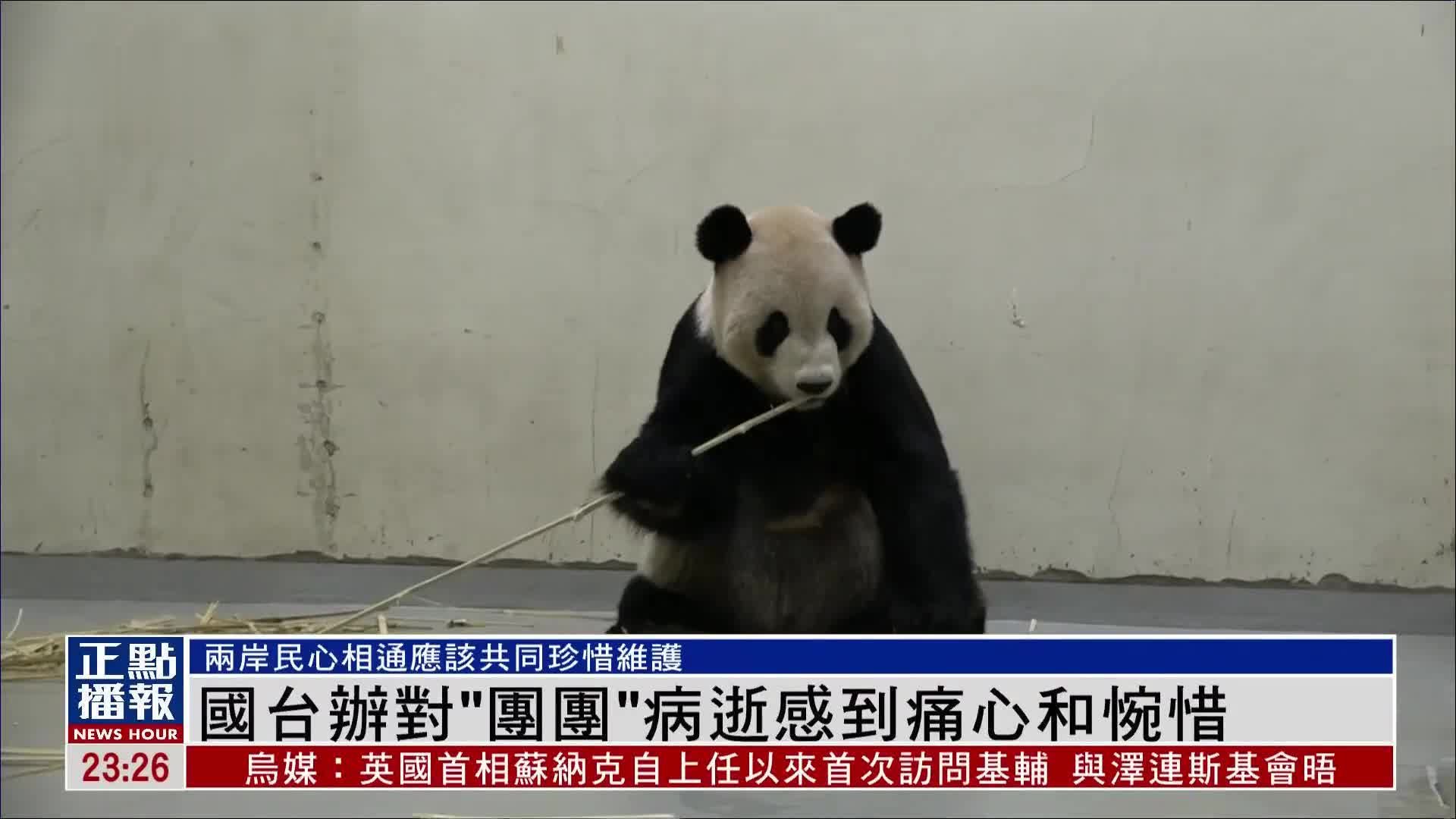 国台办对大熊猫“团团”病逝感到痛心和惋惜