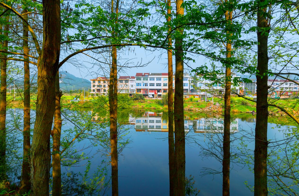 台州临海永丰镇:推进"五水智治" 擘画生态蓝图