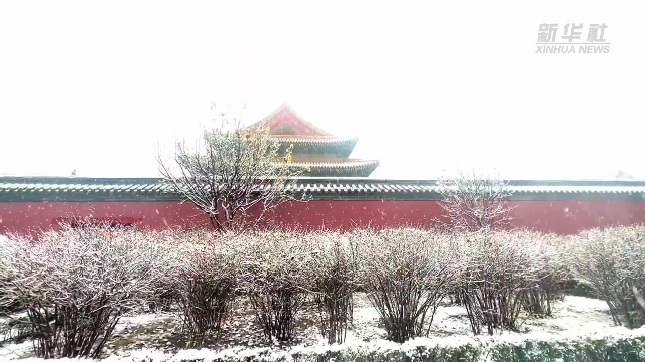 沈阳故宫迎飞雪 白雪镶红墙美不胜收