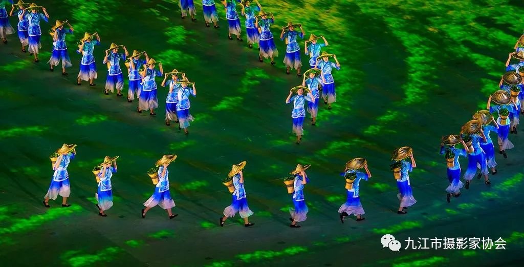 《釆茶忙》 文飞翔 摄