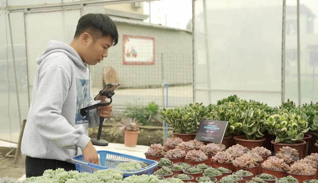 彭州市互联网营销师职业技能竞赛圆满落幕