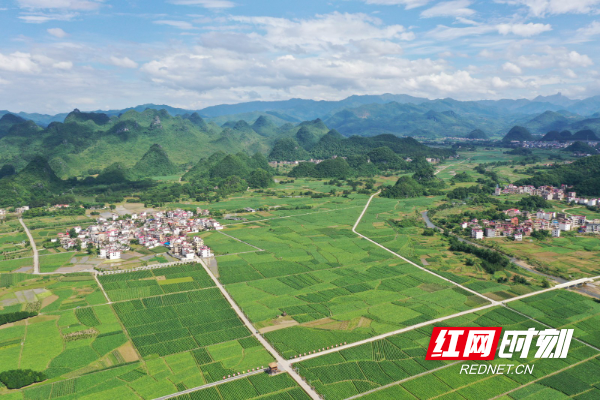 DJI_04381.jpg