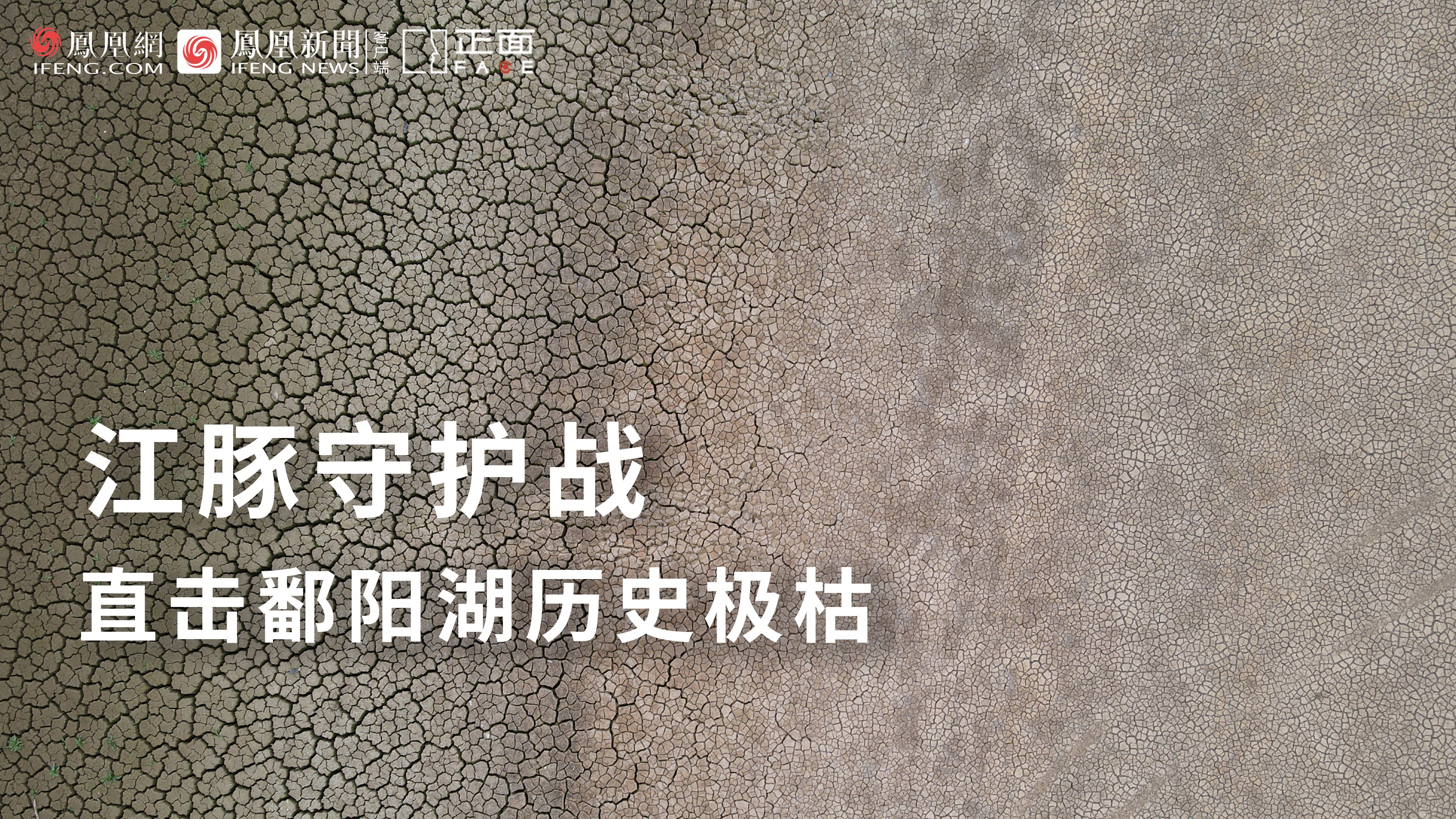 正面FACE | 鄱阳湖历史大旱：捕捞者变守护者  渔民加入江豚巡护队