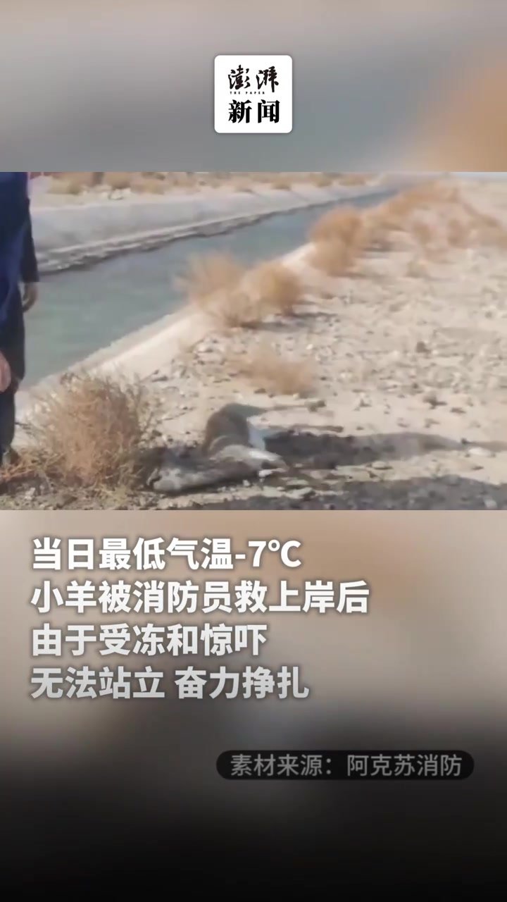 消防员跳河救羚羊，还给它烤火暖脚