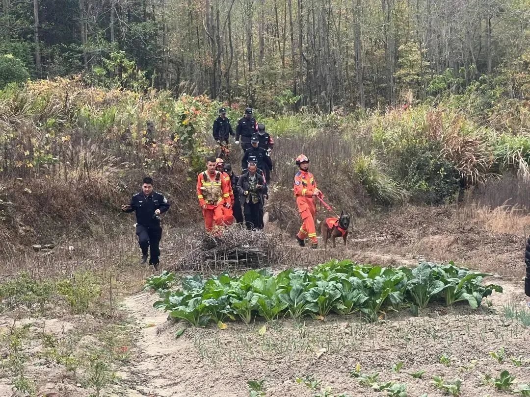 彭泽县一老人进山采药失联近30小时 消防搜救犬2小时找到踪迹