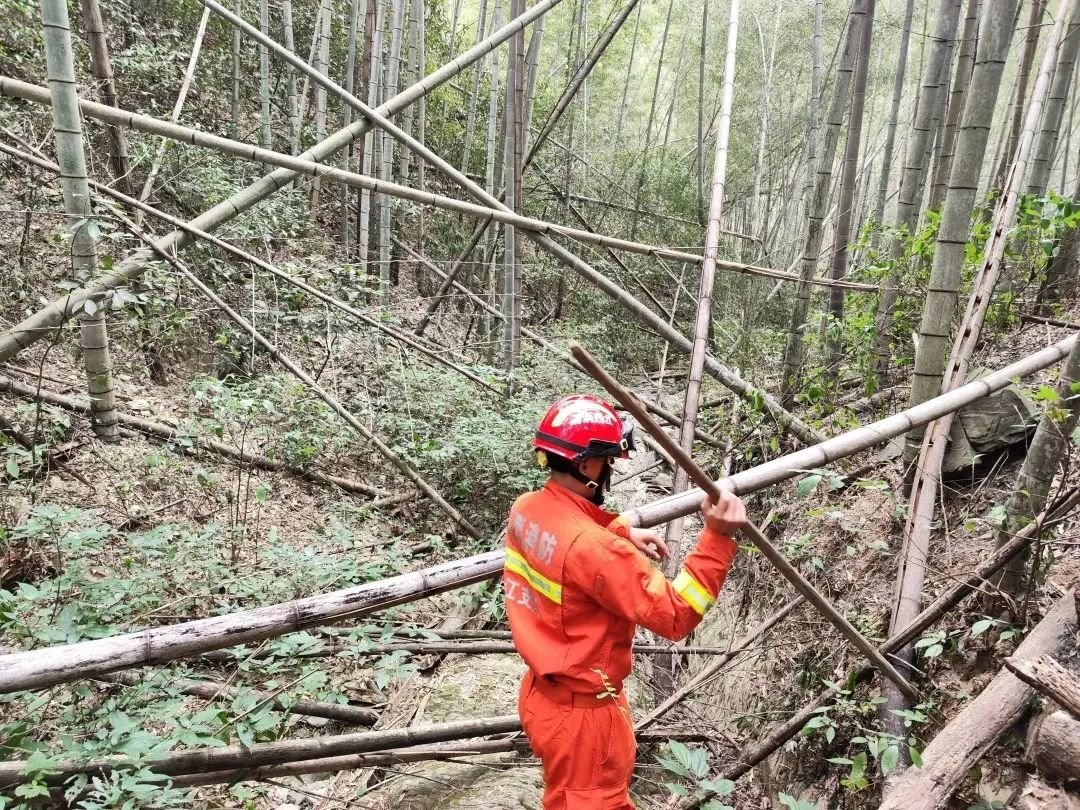 彭泽县一老人进山采药失联近30小时 消防搜救犬2小时找到踪迹