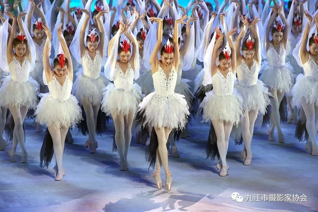 《云翔鹤舞》 宋小勇 摄