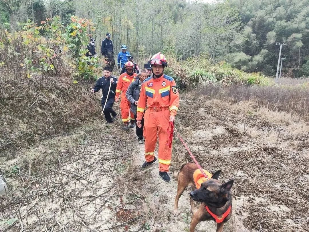 彭泽县一老人进山采药失联近30小时 消防搜救犬2小时找到踪迹