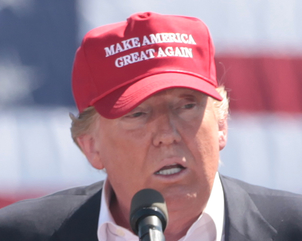 特朗普在2016年竞选时头上所戴着的,标志性的大写“MAKE AMERICA GREAT AGAIN”的红色 鸭舌帽