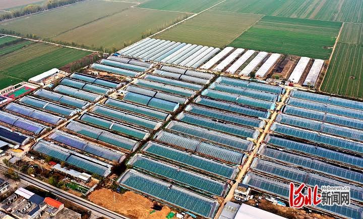石家庄市栾城区柳林屯村五彩园蔬菜种植基地(无人机照片)。