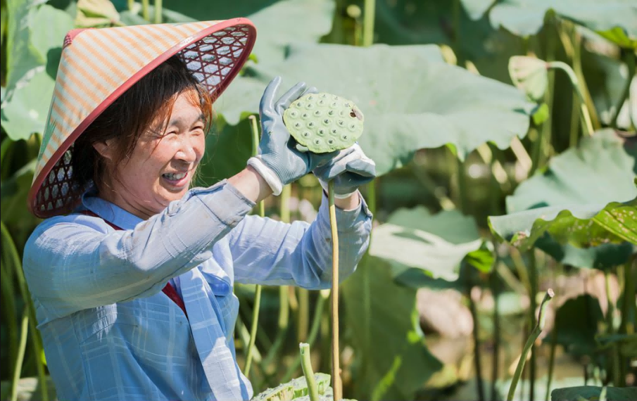 十年来赣州崇义县地区生产总值突破百亿大关 年均增长8.7%