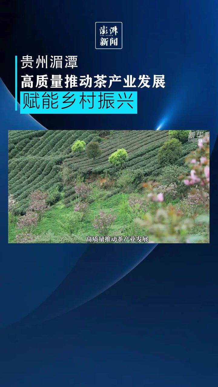 贵州湄潭：茶产业发展赋能乡村振兴