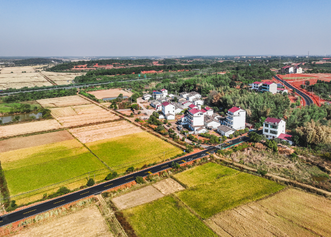 樟树：建设“四好农村路” 织就乡村“幸福网”