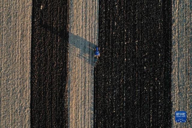 在吉林省公主岭市环岭街道土城子村，农民驾驶拖拉机对已收获的耕地进行秸秆深翻还田保护性作业（无人机照片，11月1日摄）。